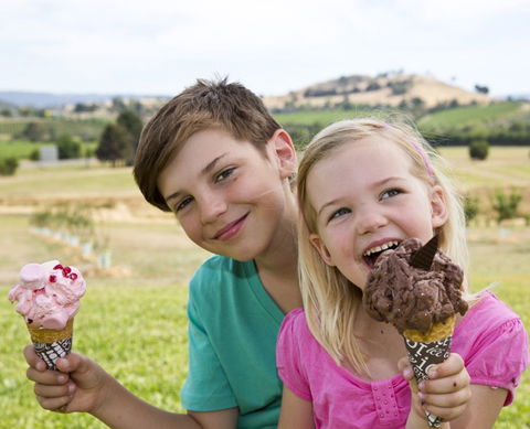 Yarra Valley Chocolaterie & Ice Creamery - Accommodation Guide 6