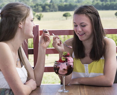 Yarra Valley Chocolaterie & Ice Creamery - Accommodation Guide 8