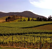 Soumah of Yarra Valley - Accommodation Guide