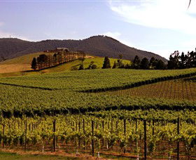 Soumah Of Yarra Valley - Accommodation Guide 0