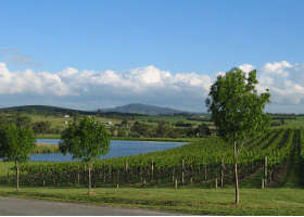 Yarrawood Estate - Accommodation Guide 0