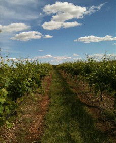 Chambers Rosewood Winery - Accommodation Guide 0
