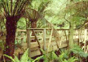 Mount Worth State Park - Accommodation China 0