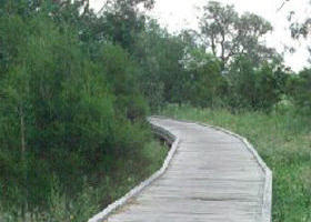 Shepherds Bush - Accommodation Asia 0