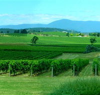 Acacia Ridge Vineyard - Accommodation Guide