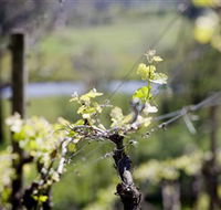 Michelini Wines - Accommodation Asia
