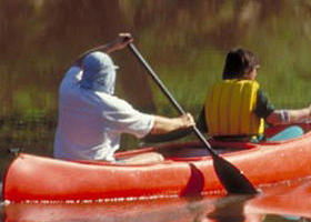 Yarra Bend Park - Accommodation Asia 0