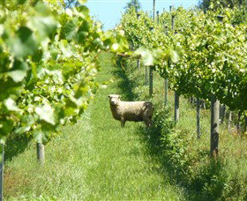 Passing Clouds - Accommodation Asia 0