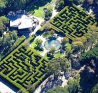 Ashcombe Maze  Lavender Gardens - Accommodation Guide