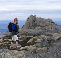 Mount Buffalo National Park - Accommodation Guide