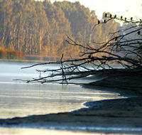 Barmah National Park - Accommodation Guide