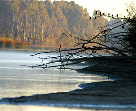 Barmah National Park - Accommodation Guide 0