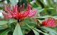 Alfred National Park - thumb 0