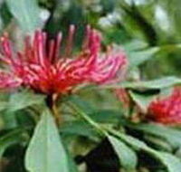 Alfred National Park - Accommodation Asia