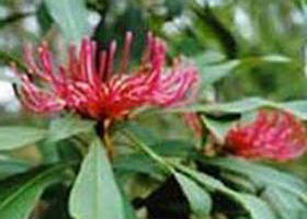 Alfred National Park - Accommodation Asia 0