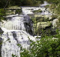 Agnes Falls Scenic Reserve - Accommodation Asia