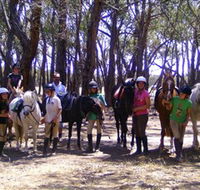 Bellarine Horse Riding Centre - Accommodation Guide