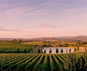 Oakridge Wines - Accommodation Guide 0