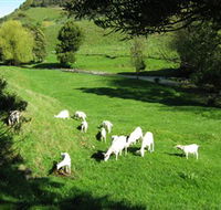 Goats of Gaia Soap - Accommodation Asia