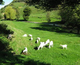 Goats Of Gaia Soap - Accommodation Guide 0