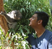 Healesville Sanctuary - Accommodation Asia