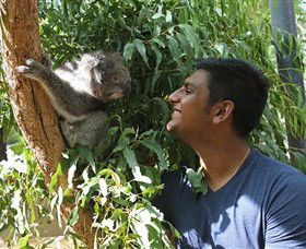 Healesville Sanctuary - Accommodation Asia 0
