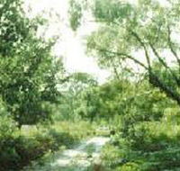 Holey Plains State Park - Accommodation Asia