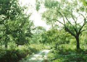 Holey Plains State Park - Accommodation Asia 0