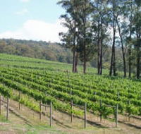 Piedmont Vineyard - Accommodation Asia