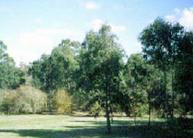 Sweeneys Flat - Accommodation China 0