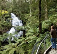 Great Otway National Park - Accommodation Asia