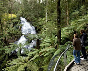 Great Otway National Park - Accommodation Asia 0