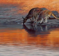 Steve Morvell Wildlife Art - Accommodation Asia