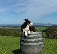 Windy Ridge Vineyard and Winery - Accommodation Asia