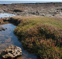 Ricketts Point Marine Sanctuary - Accommodation Guide
