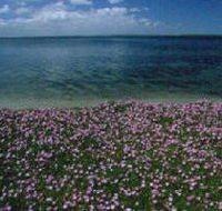 The Lakes National Park - Accommodation Asia