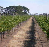 Mount Beckworth Wines - Accommodation China