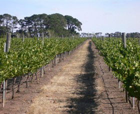 Mount Beckworth Wines - Accommodation Asia 0