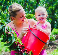 Cherryhill Orchards