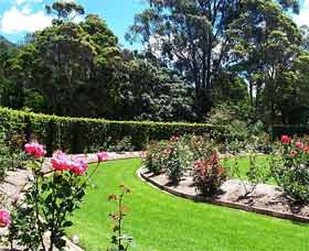 Wollongong Botanic Garden - Accommodation China 0