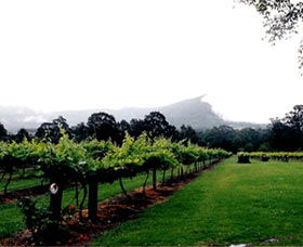 Cambewarra Estate Wines - Accommodation Asia 0