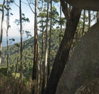 Gulaga National Park - Accommodation Guide