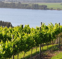 Two Figs Winery