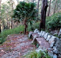 Wodi Wodi Walking Track - Accommodation Guide