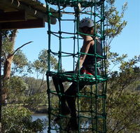 Trees Adventure Shoalhaven - Accommodation Asia