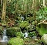 Budderoo National Park