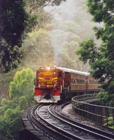 Cockatoo Run - Scenic Tour Train Operated By 3801 Limited - Accommodation China 0