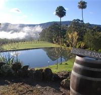 Yarrawa Estate - Accommodation Asia