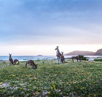 Pebbly Beach