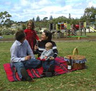 Blackbutt Forest Reserve - Accommodation China